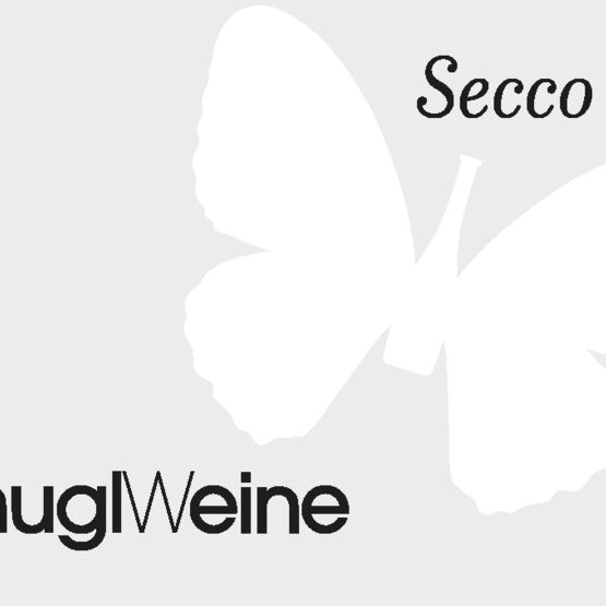 Hugl Sparkling Zweigelt Rose Secco Fine Vines